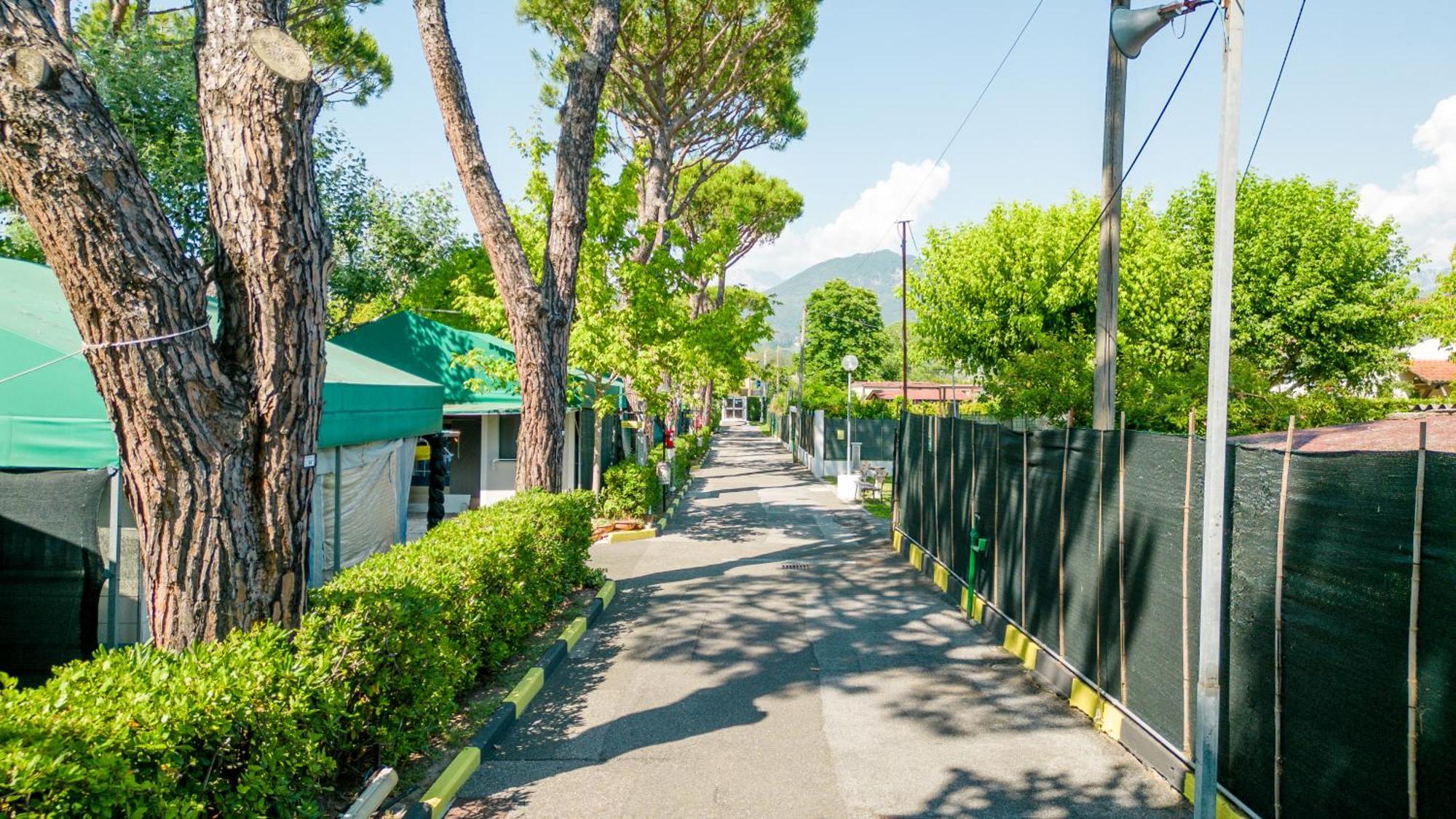 Camping Apuano Marina di Massa Exteriör bild
