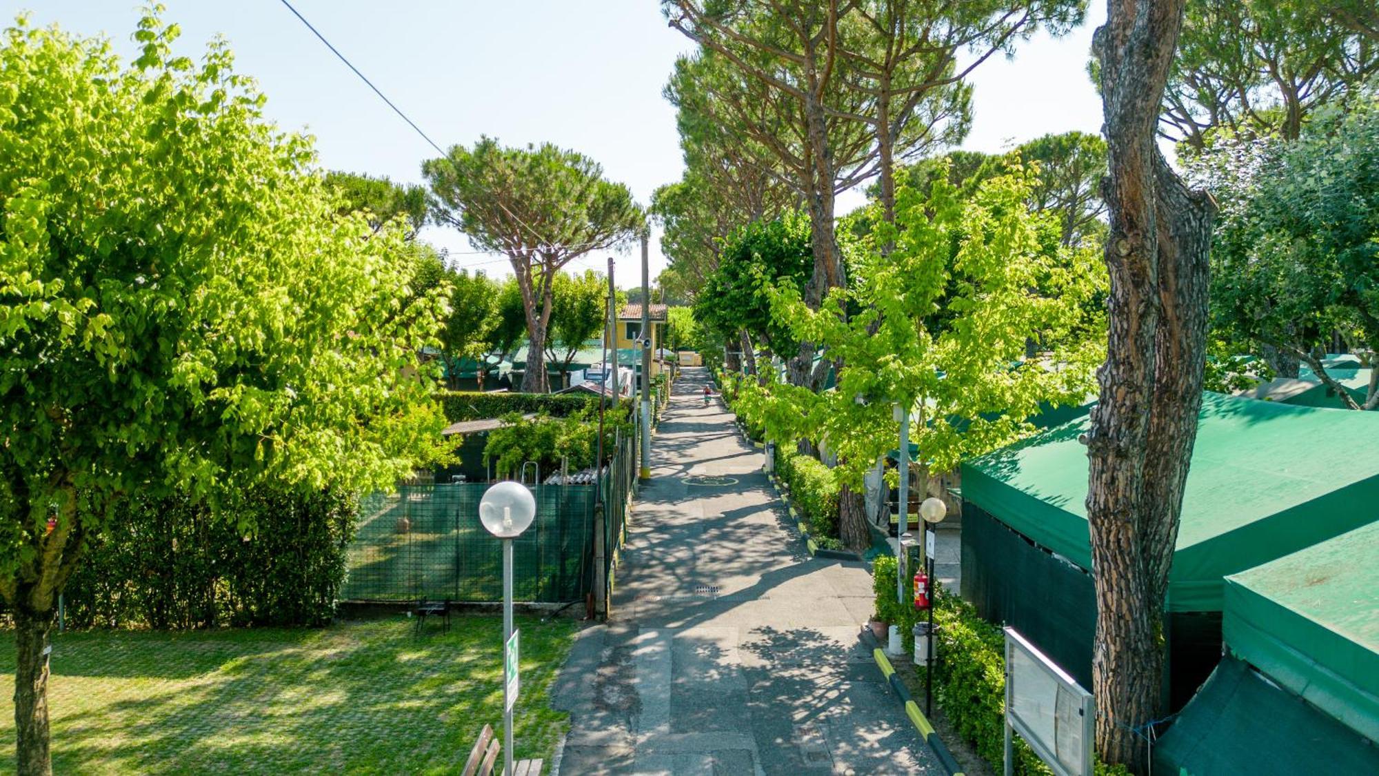 Camping Apuano Marina di Massa Exteriör bild
