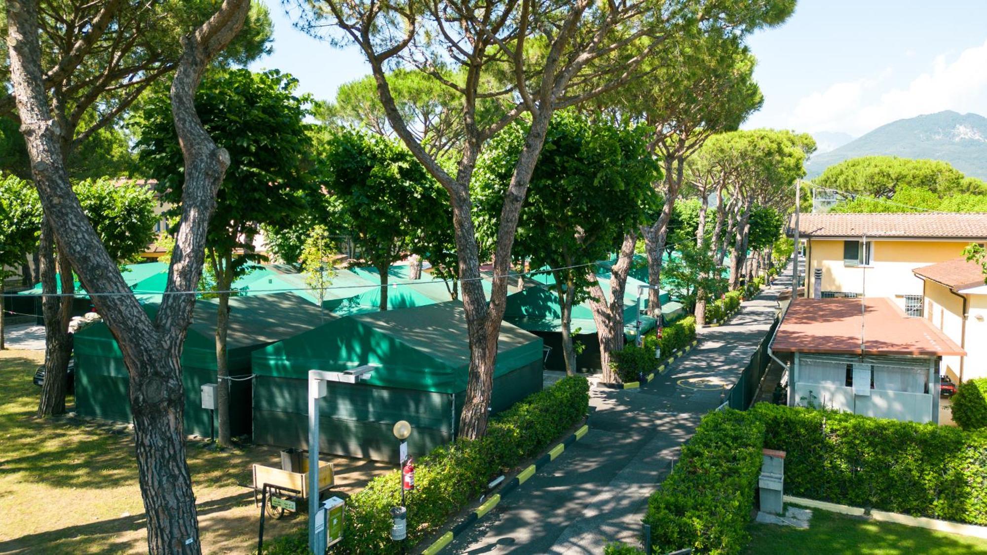 Camping Apuano Marina di Massa Exteriör bild