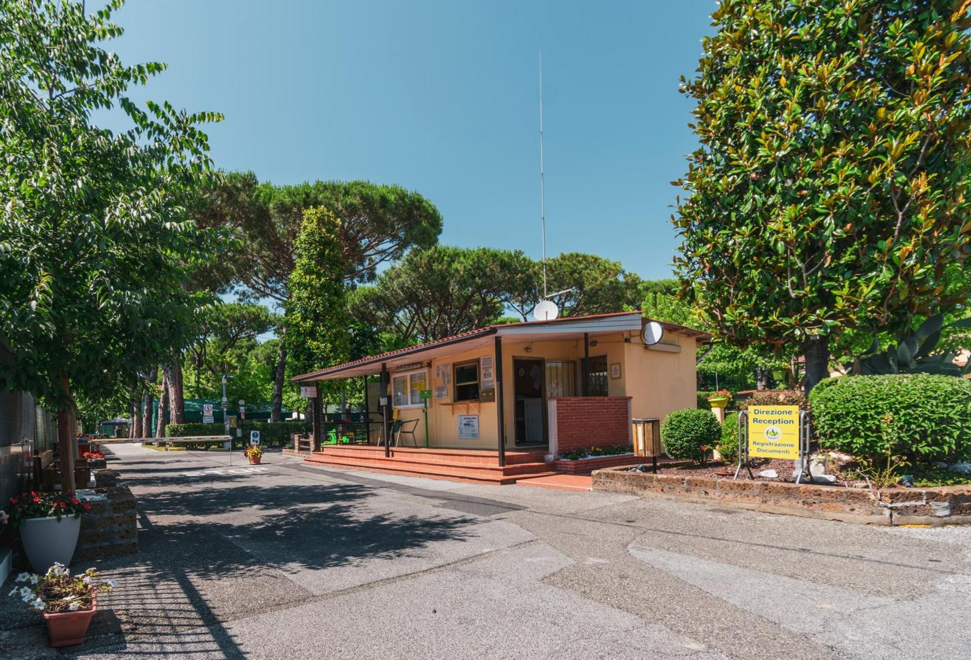 Camping Apuano Marina di Massa Exteriör bild